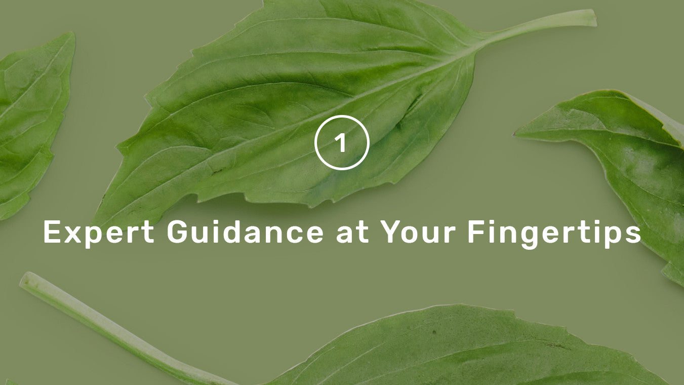 Expert Guidance at Your Fingertips