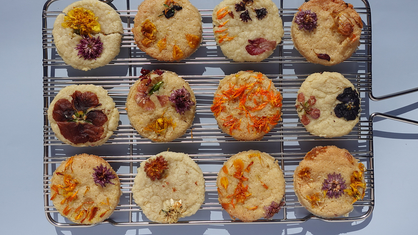 Edible Flower Sugar Cookies