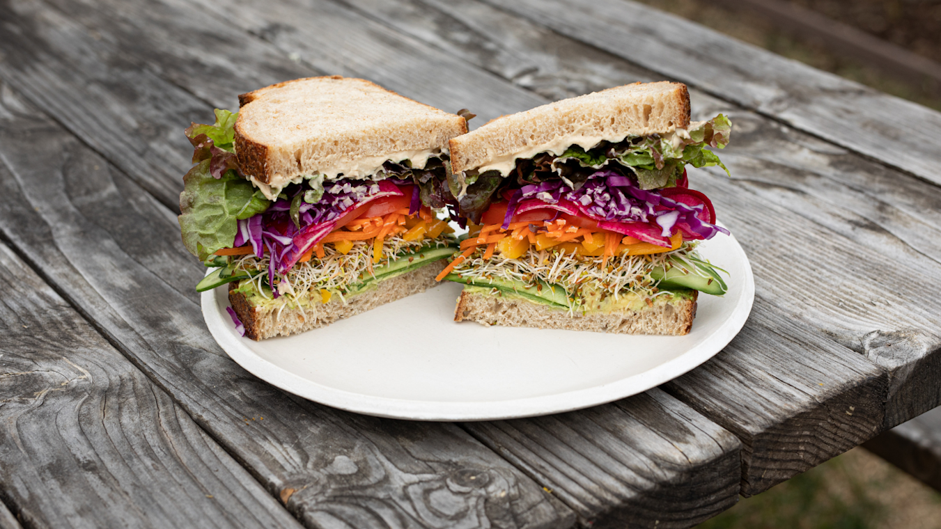 Rainbow Veggie Sandwich