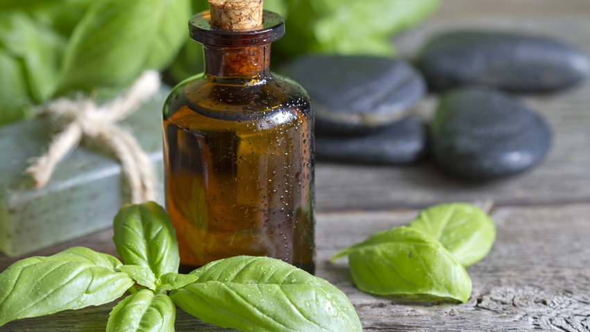 Basil Oil