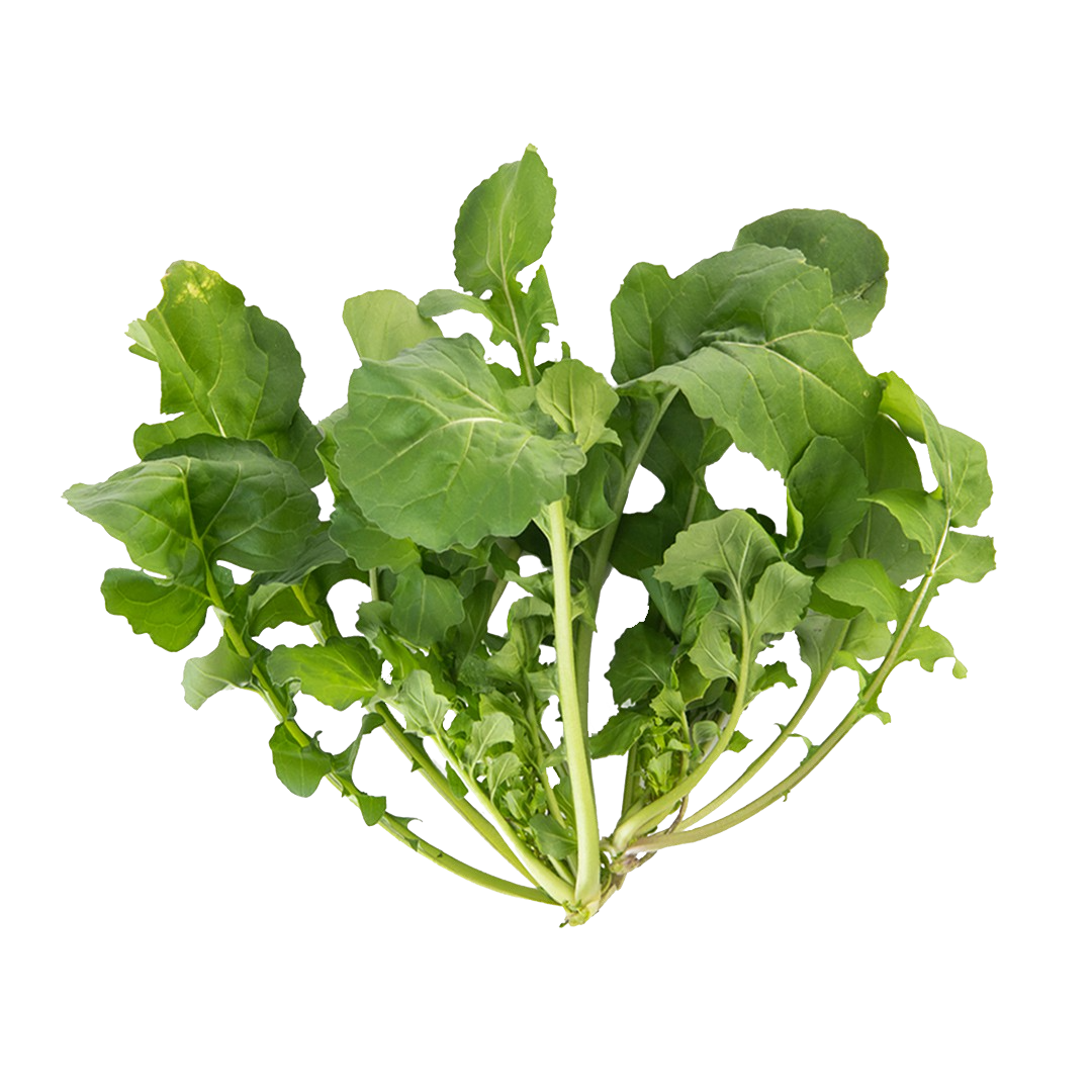 Astro Arugula