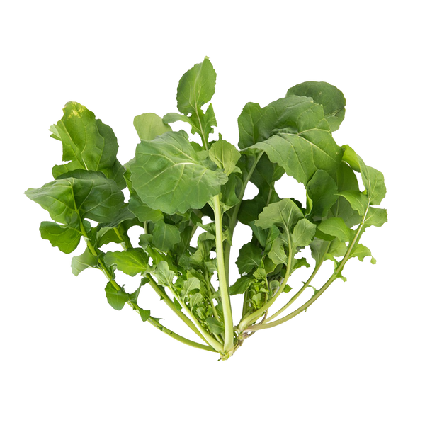 Astro Arugula