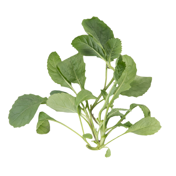 Wasabi Arugula