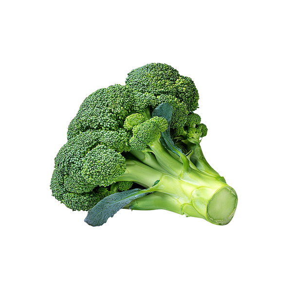 Broccoli