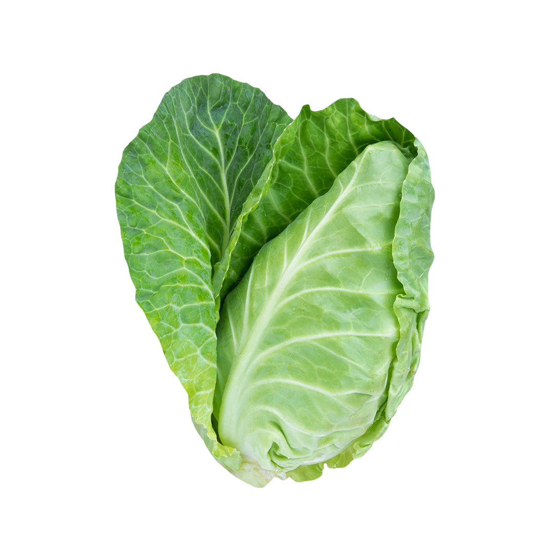 Green Cabbage