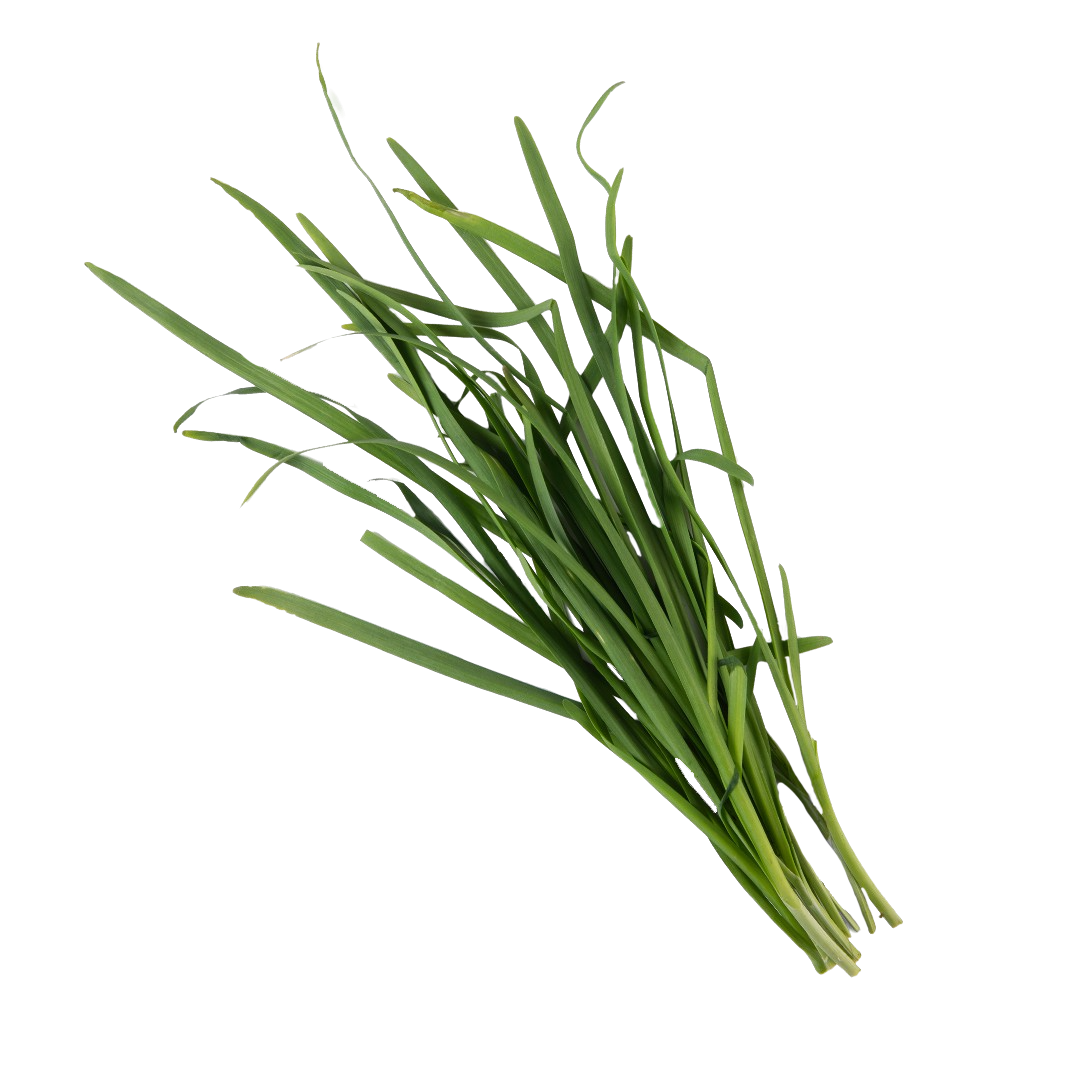 Garlic Chives