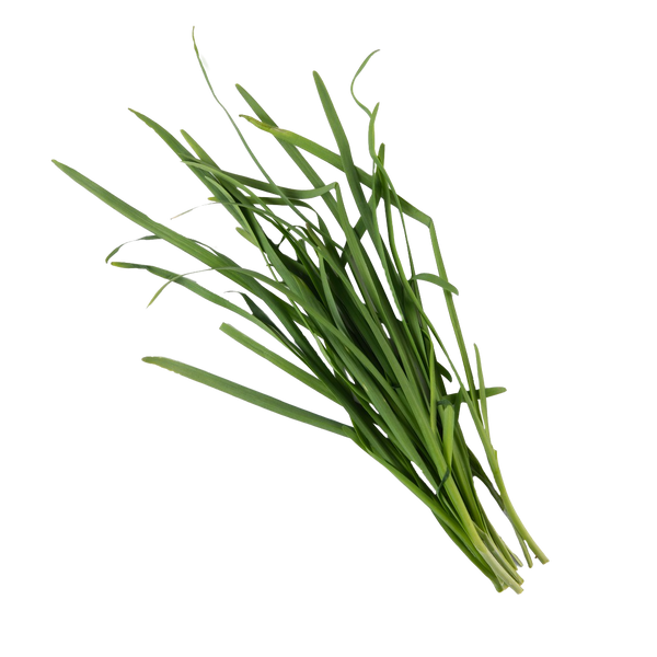 Garlic Chives