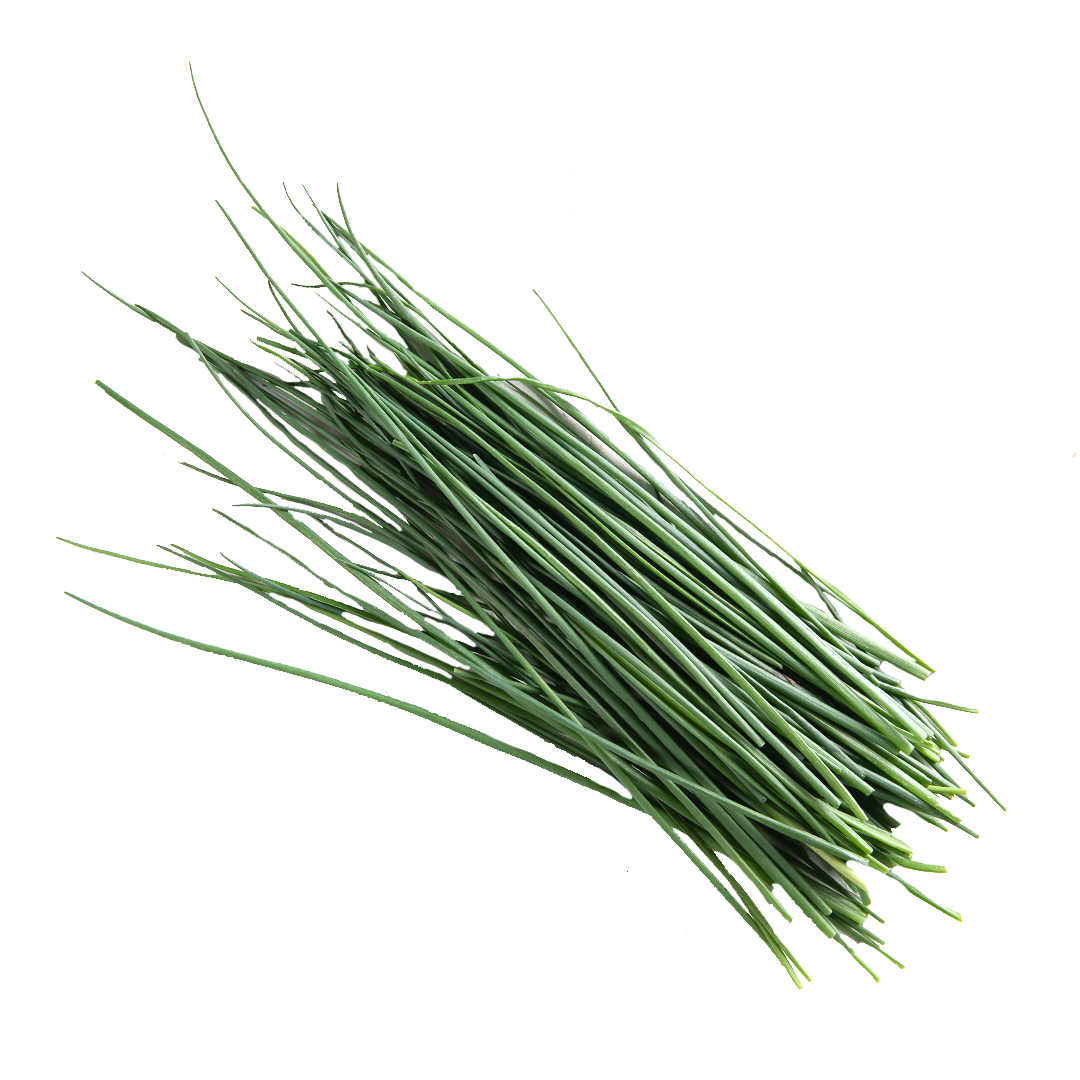 Chives