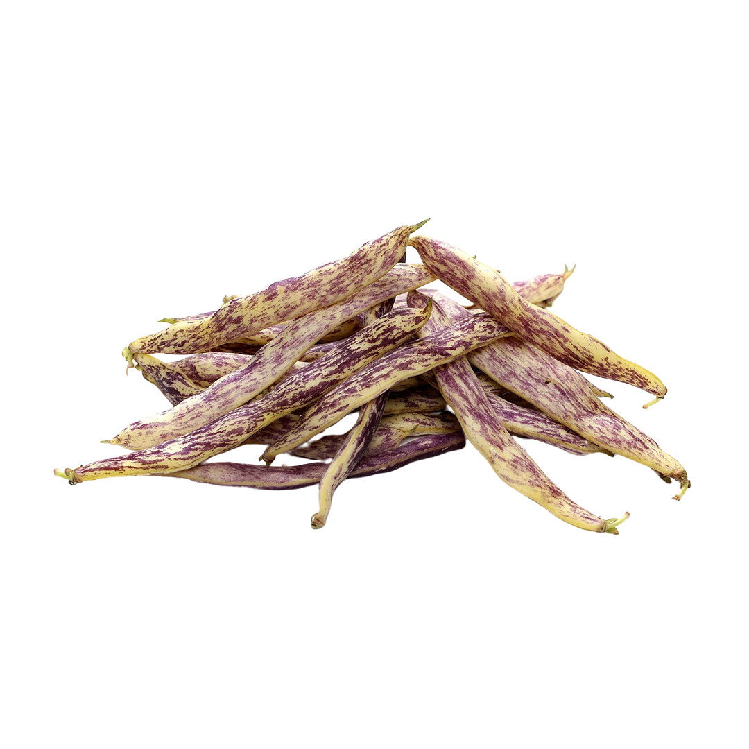 Dragon Tongue Beans