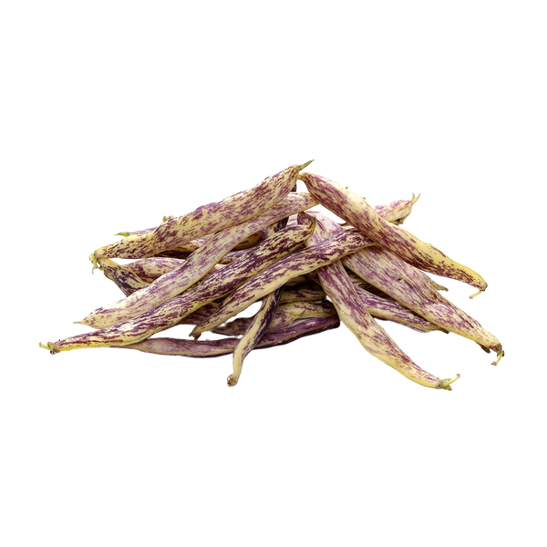 Dragon Tongue Beans