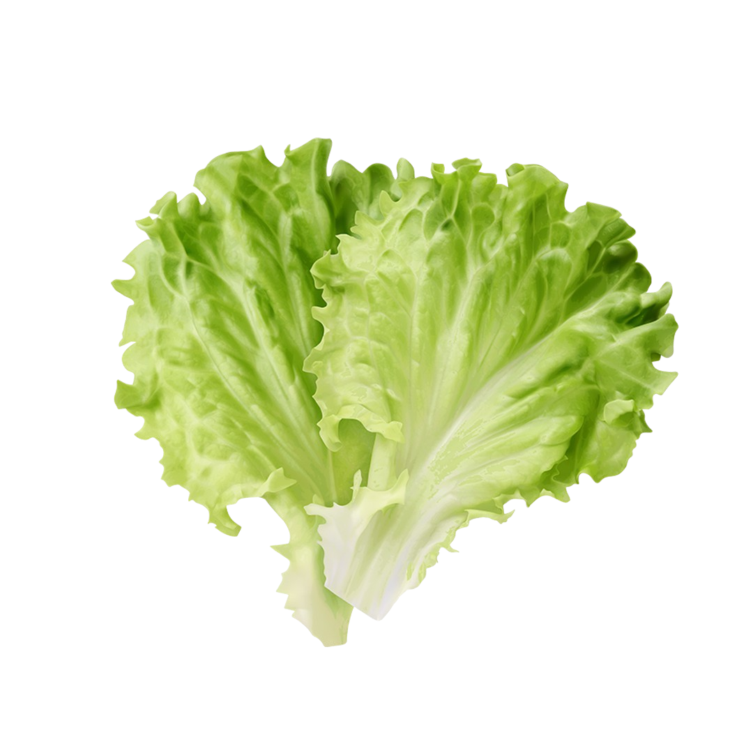 Escarole