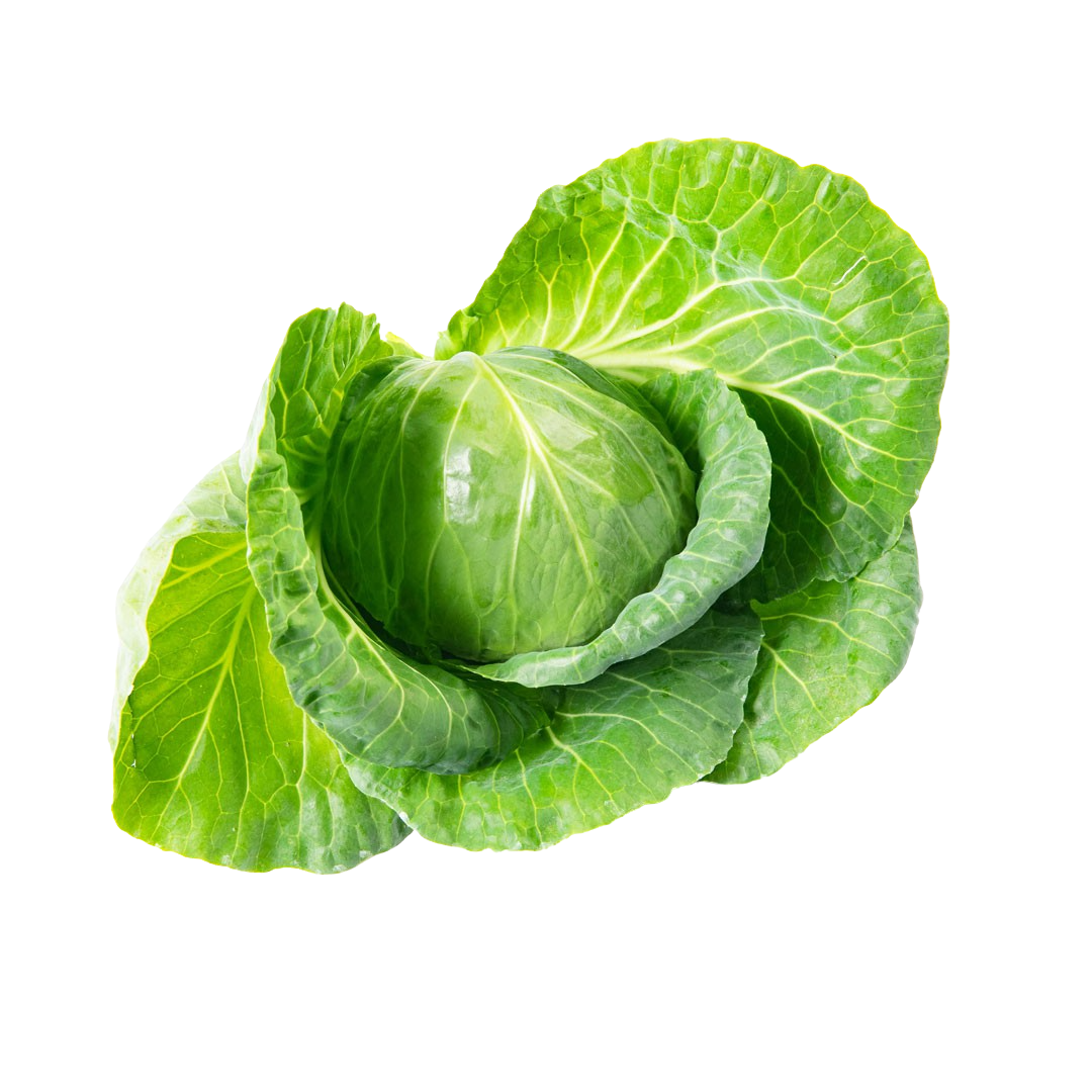 Tiara Cabbage