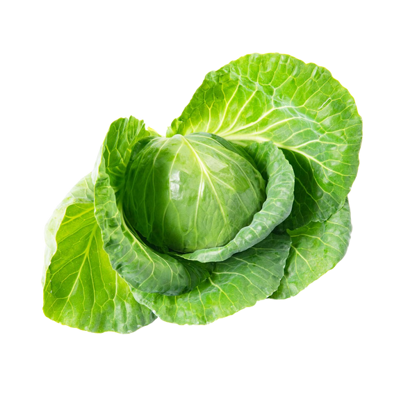 Tiara Cabbage