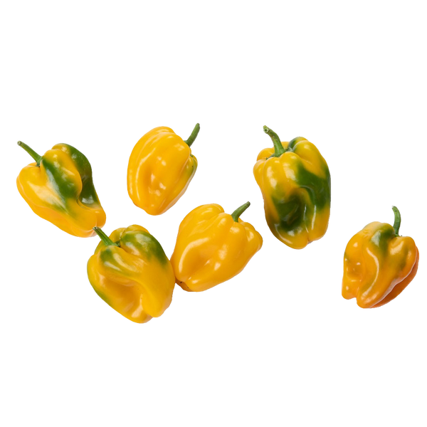 Yellow Bell Pepper