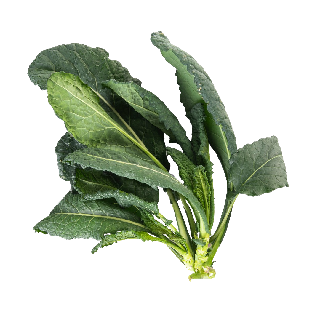 Toscano Kale