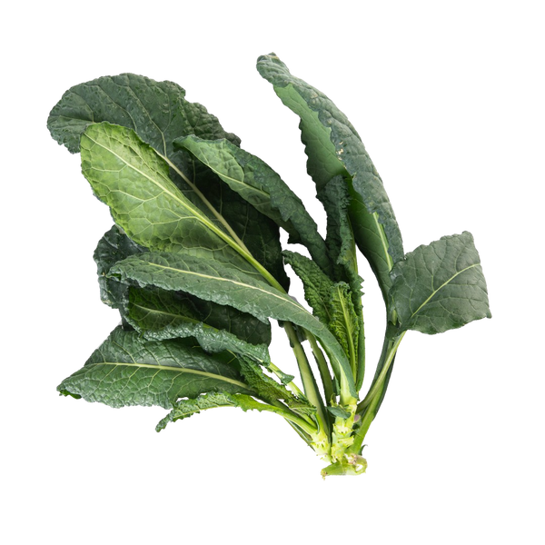 Toscano Kale