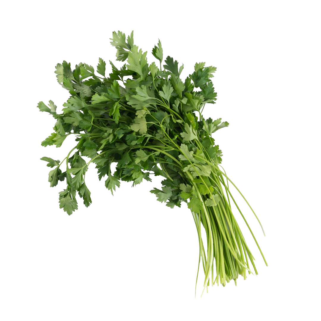 Italian Parsley