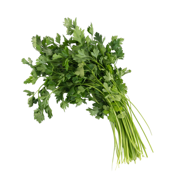 Italian Parsley