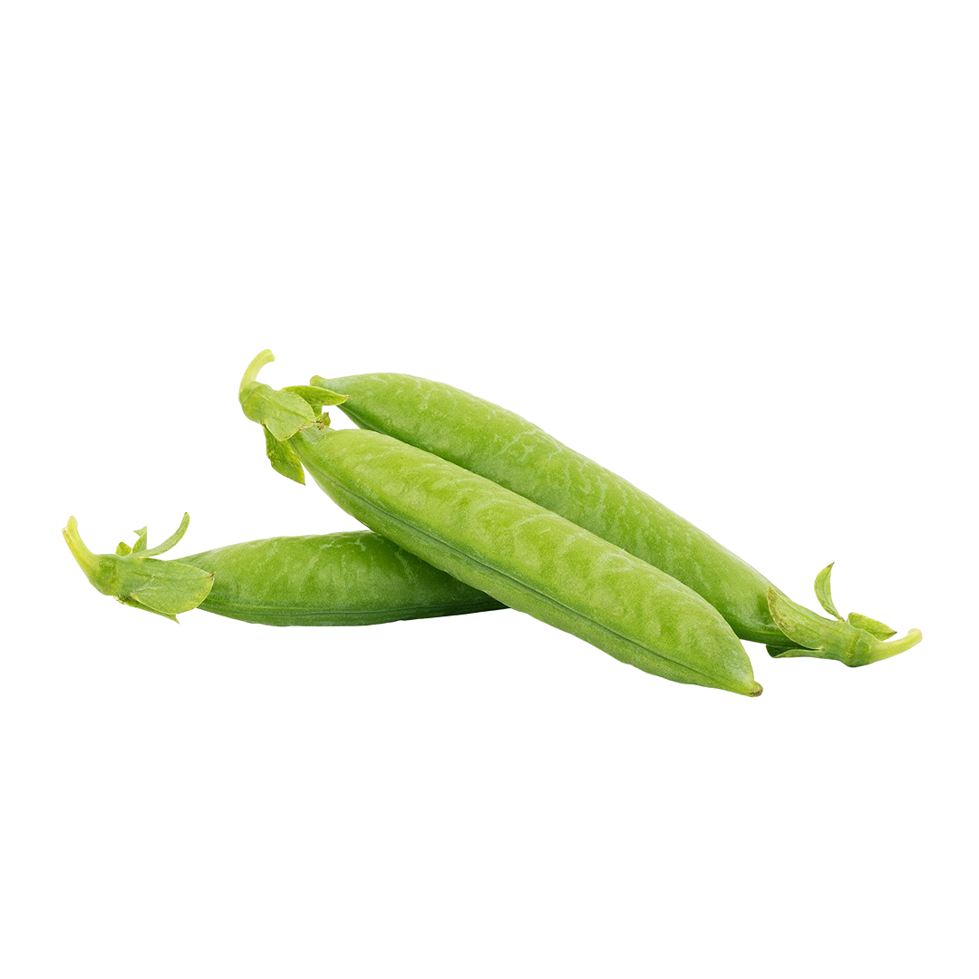 Sugar Sprint Pea