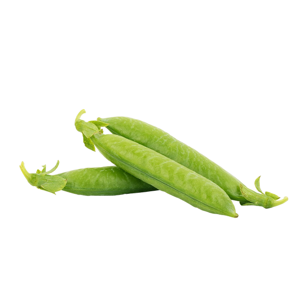 Sugar Sprint Pea