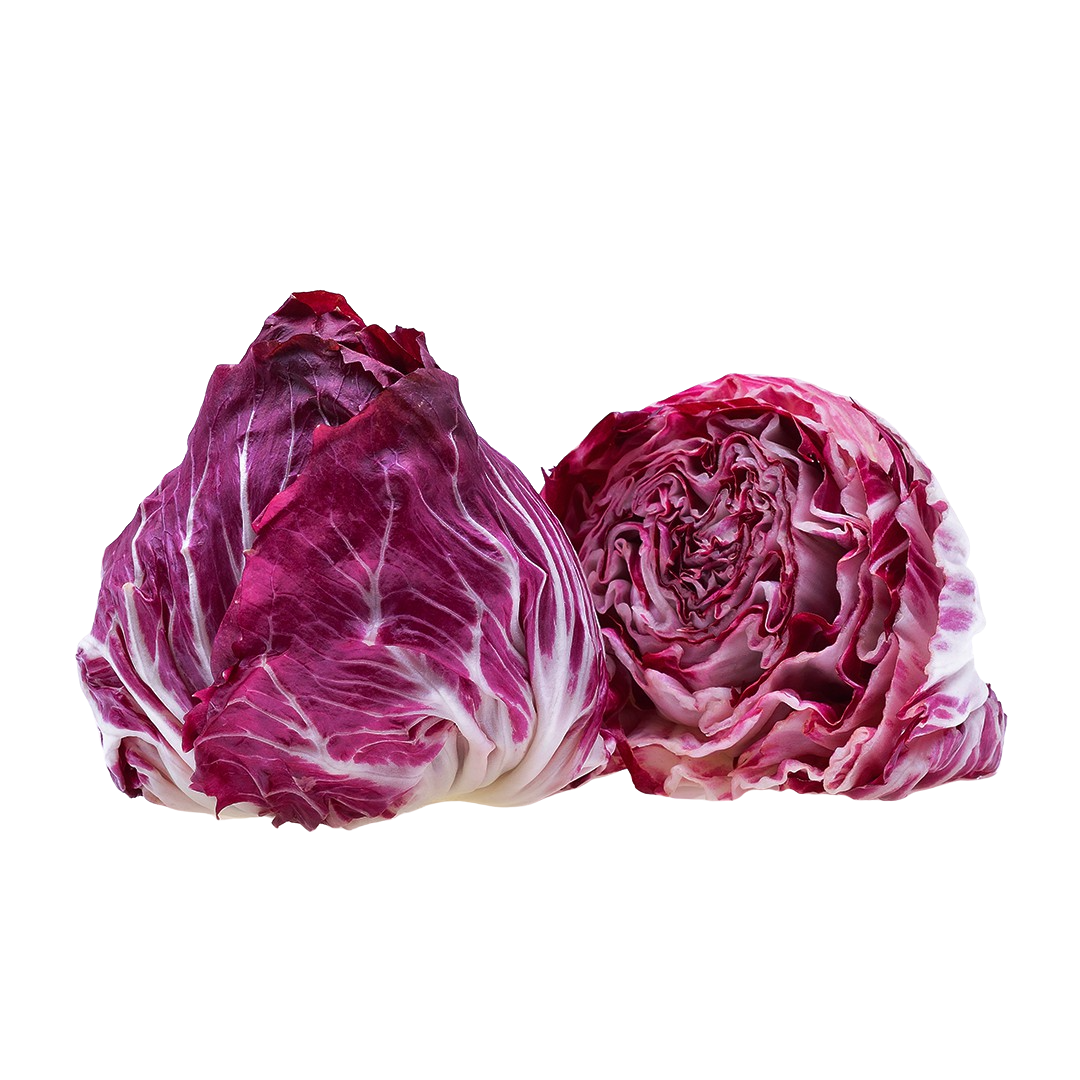 Radicchio