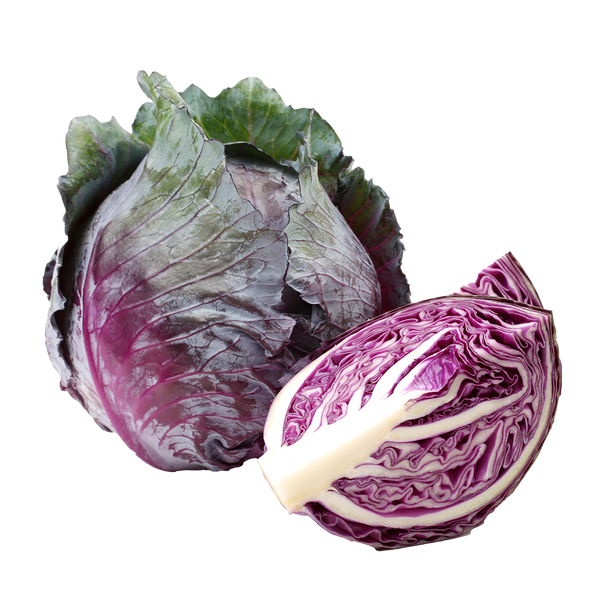 Red Express Cabbage