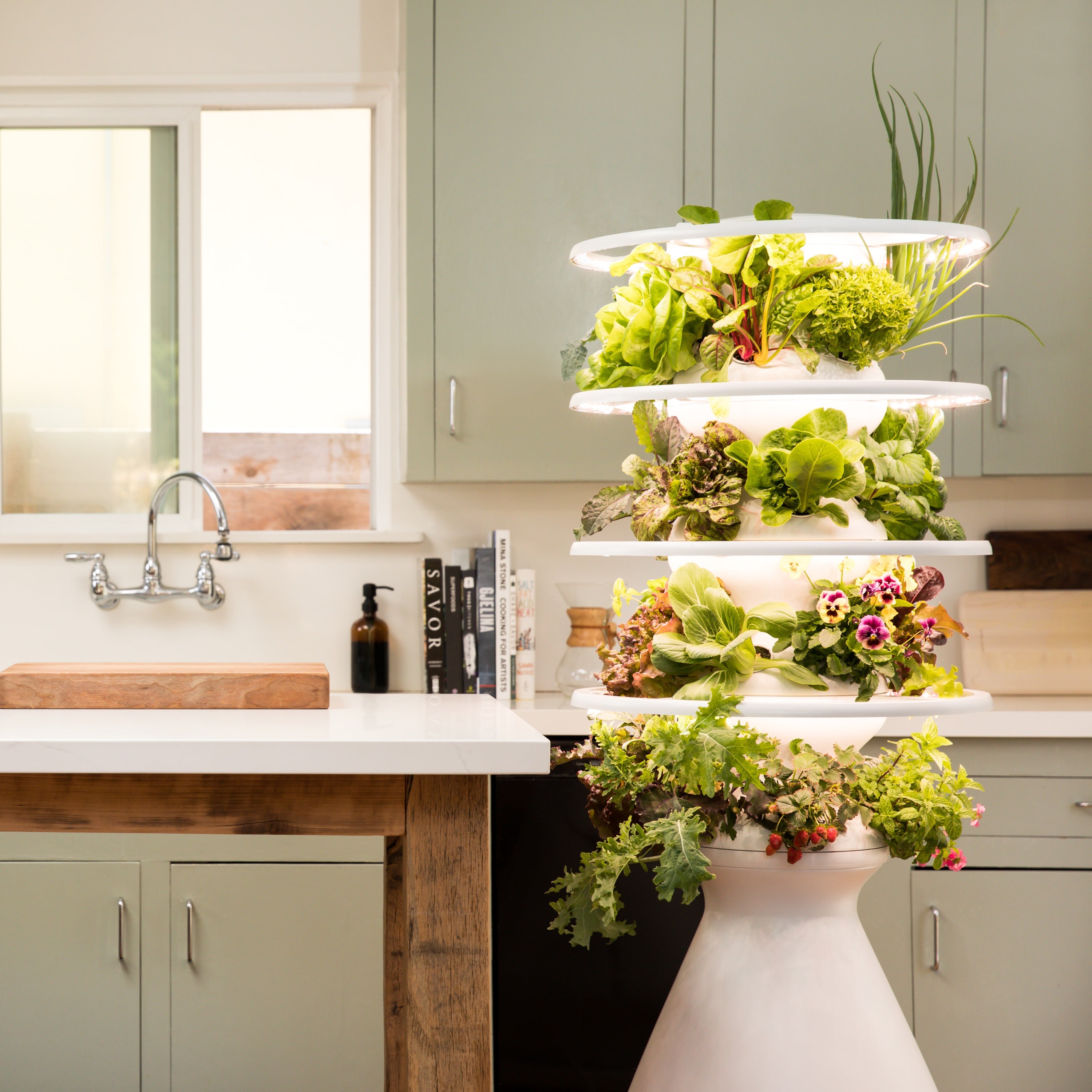 Indoor Farmstand