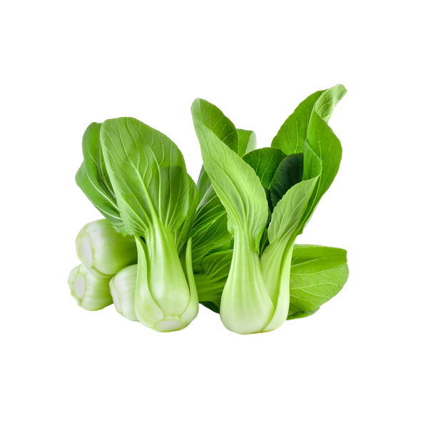 Bok Choy