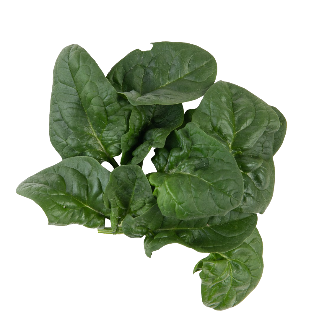 Spinach