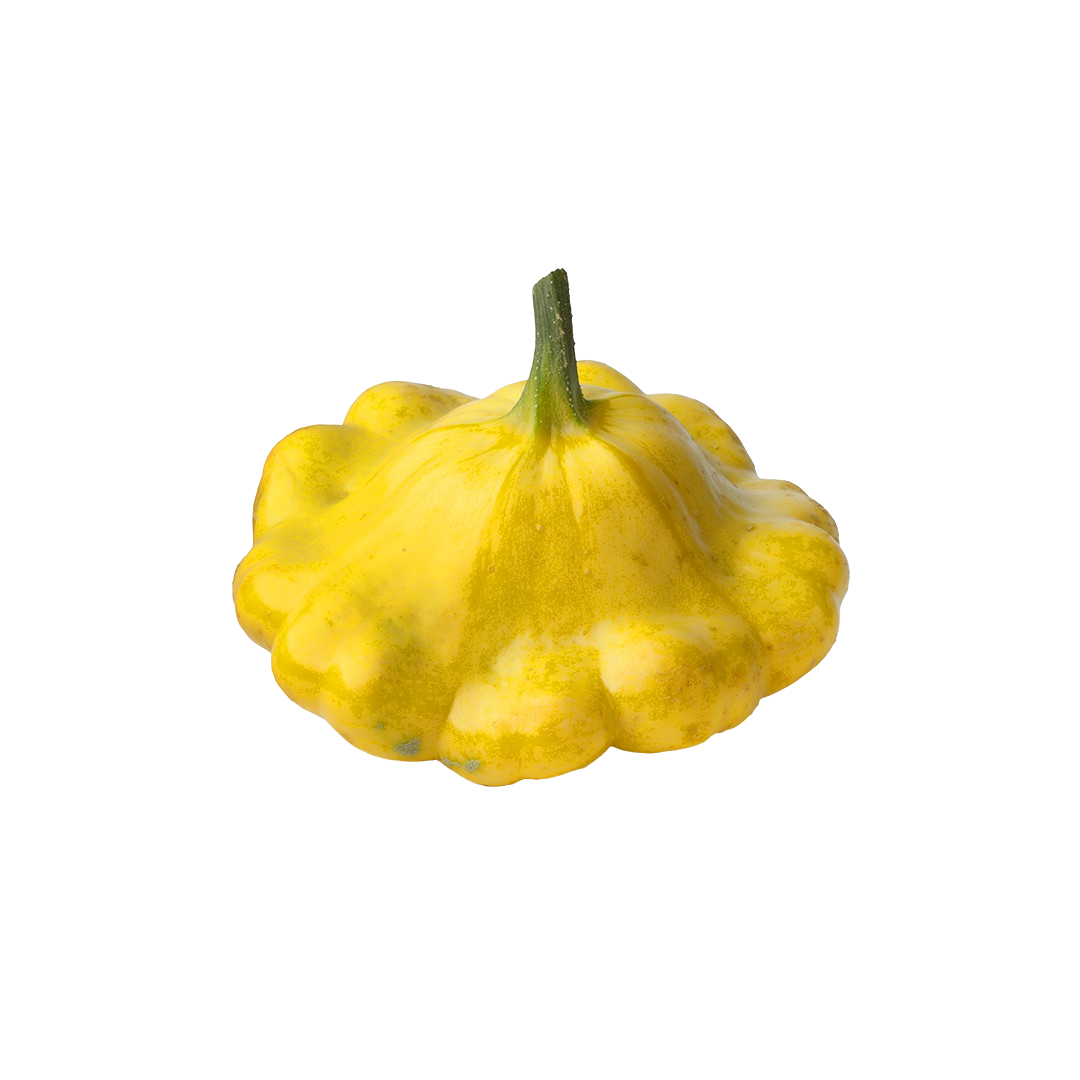 Patty Pan Squash