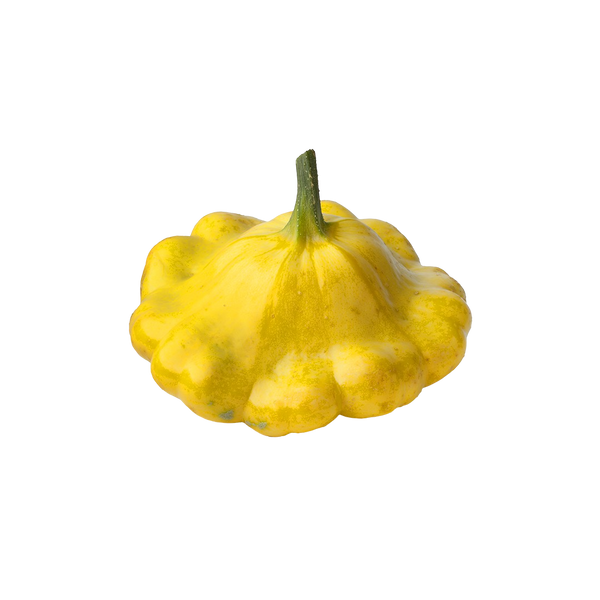 Patty Pan Squash