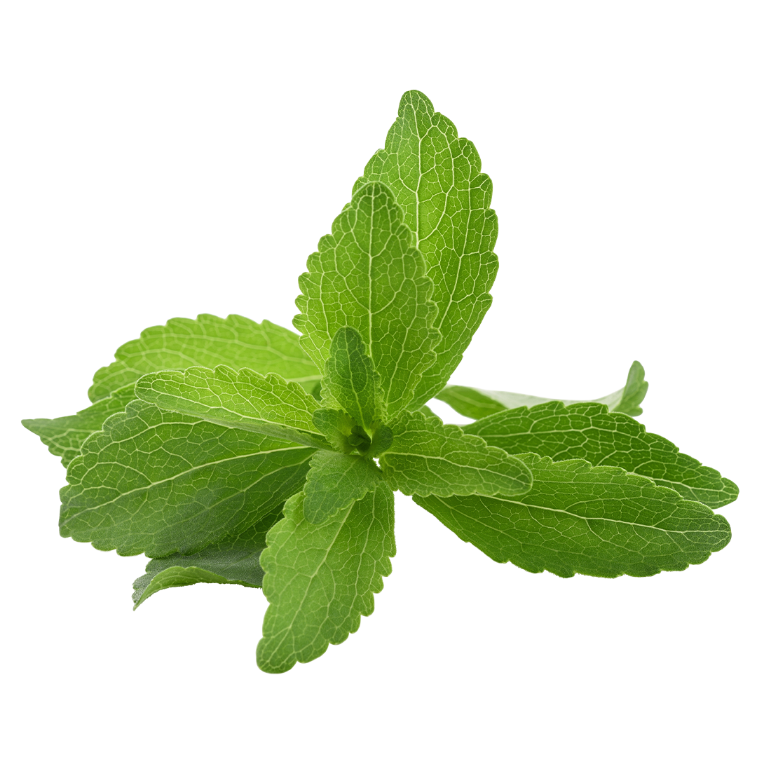 Stevia