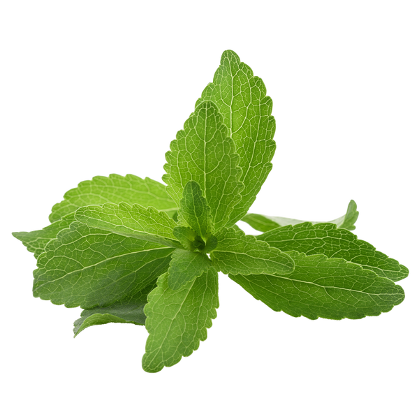 Stevia