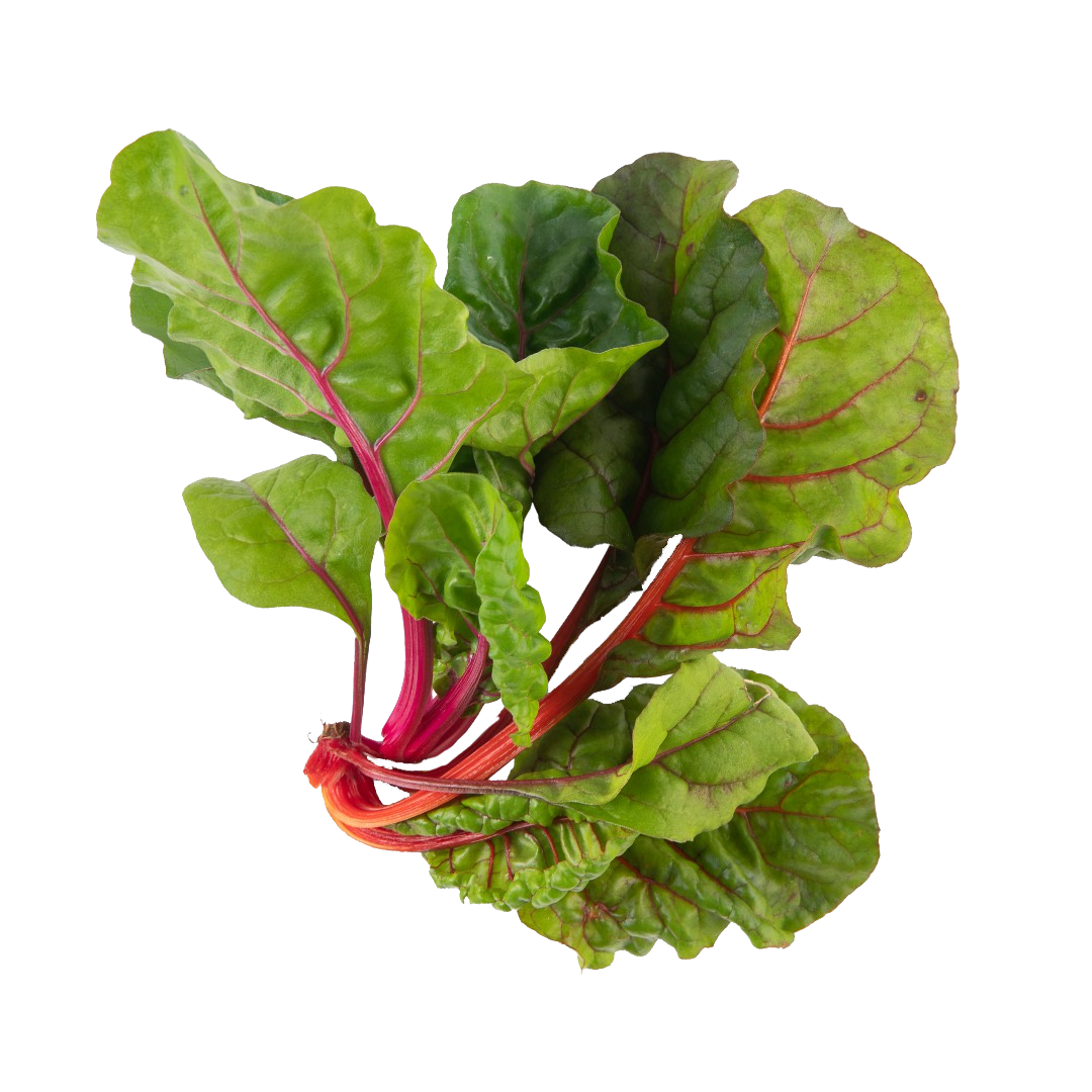 Rainbow Swiss Chard