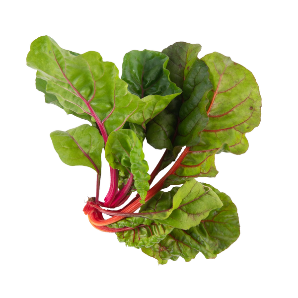 Rainbow Swiss Chard