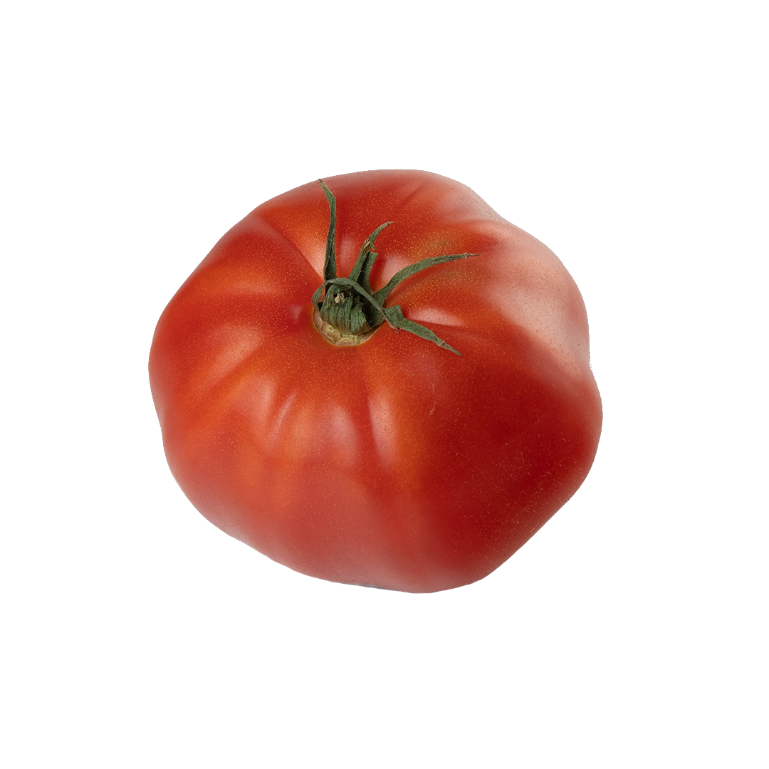 Oregon Spring Tomato