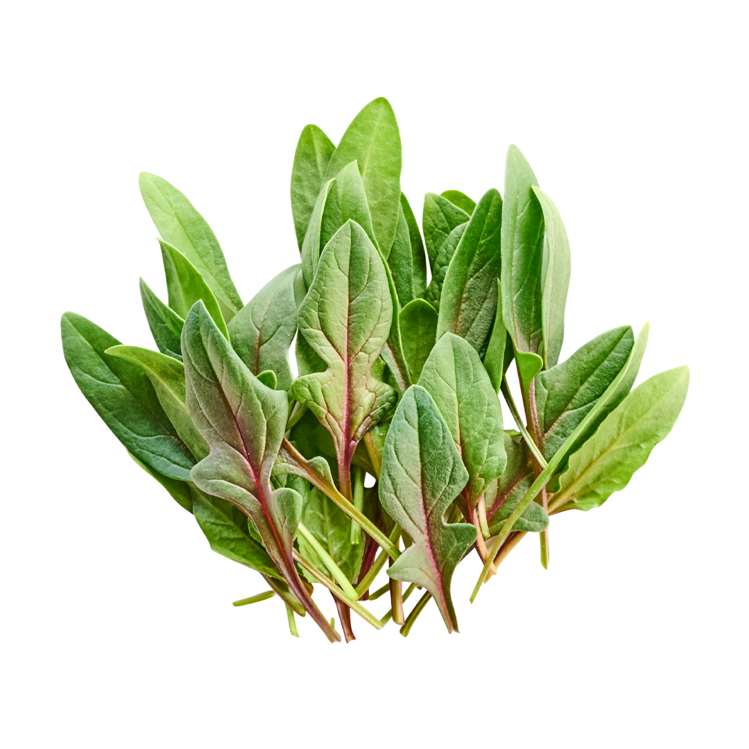 Red Spinach