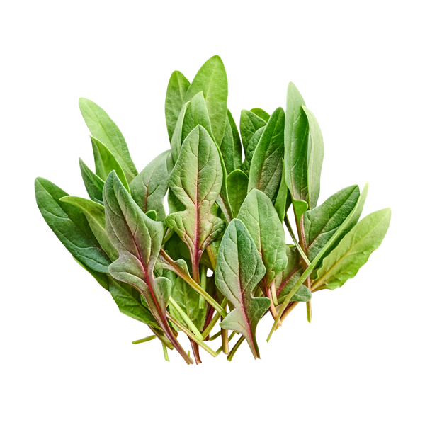 Red Spinach