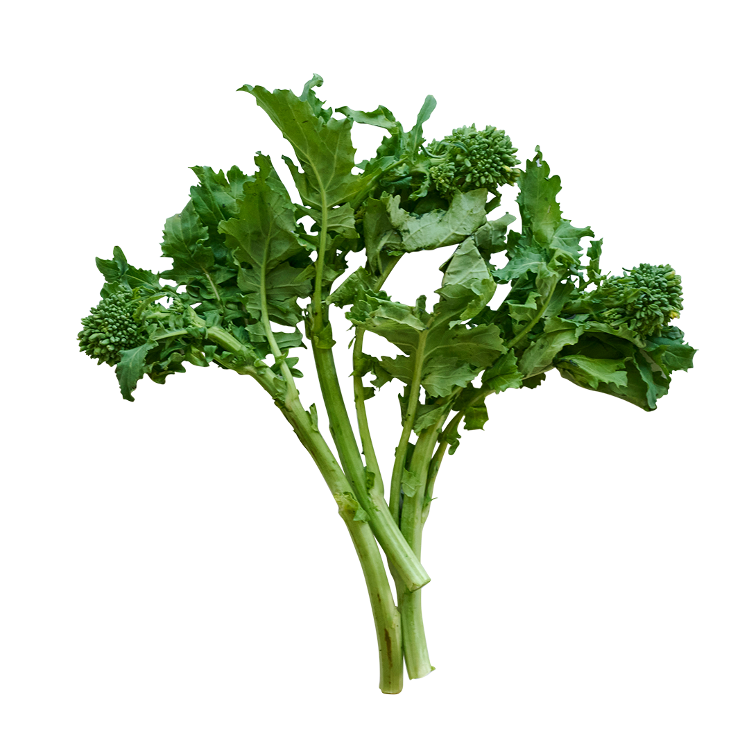 Broccoli Raab