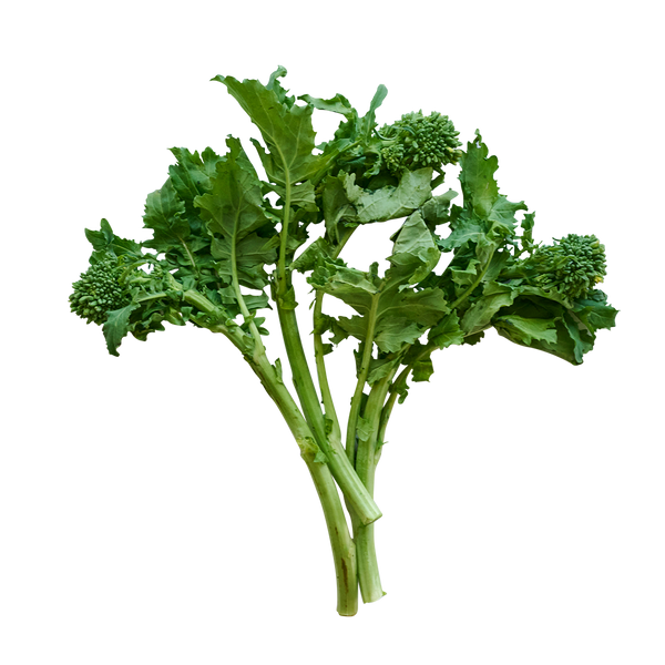 Broccoli Raab