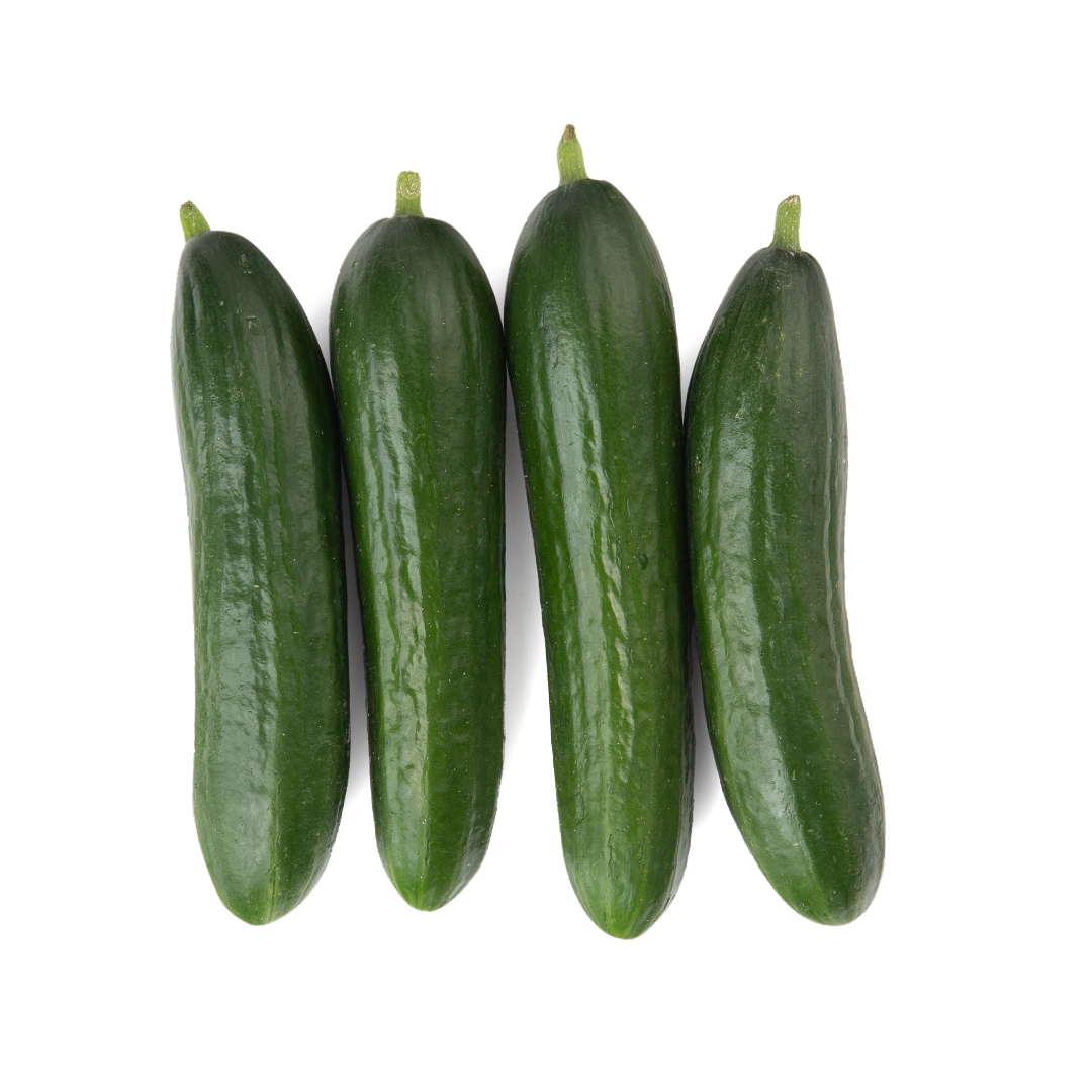 Mini Cucumber