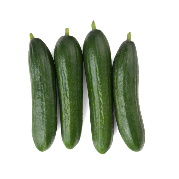 Mini Cucumber