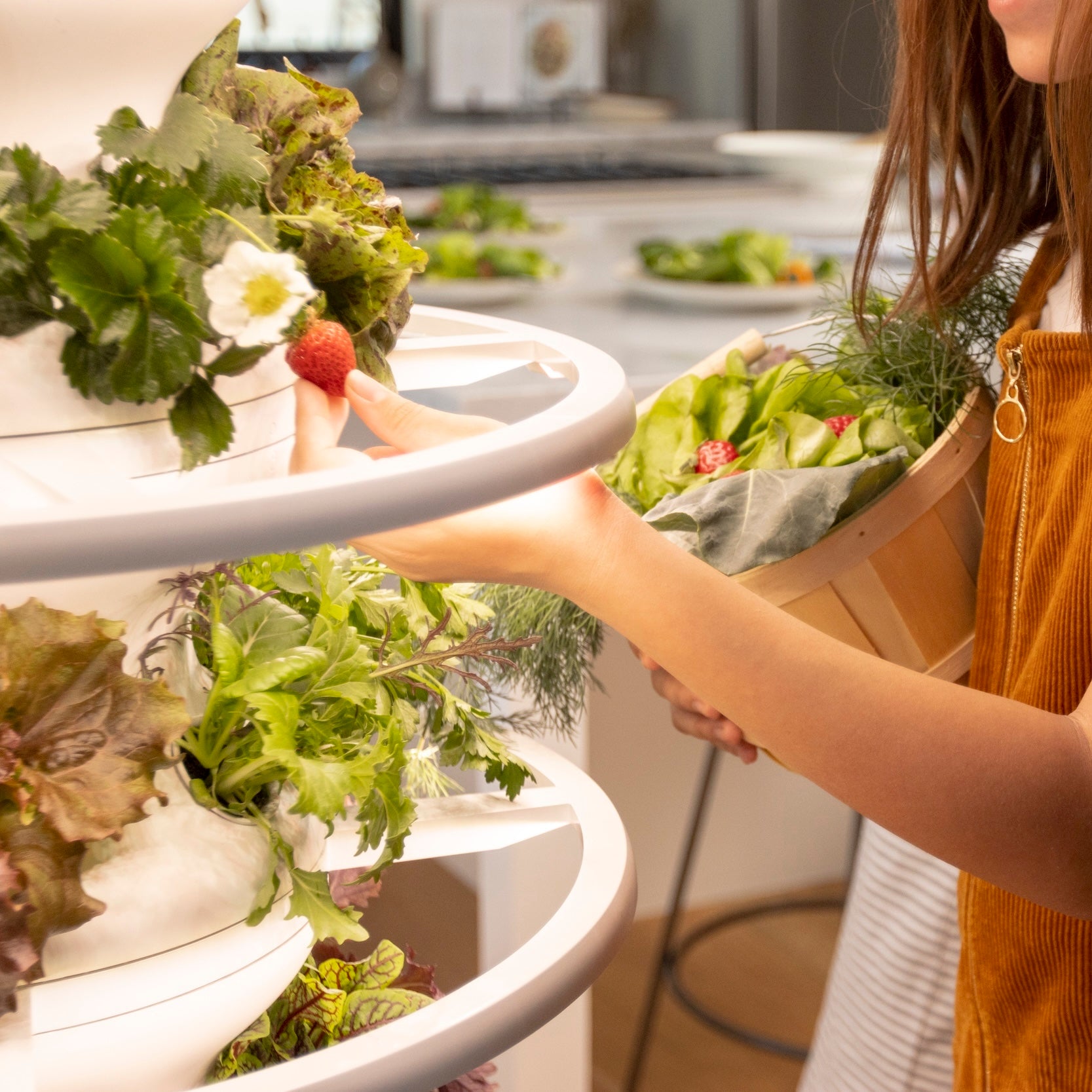 Indoor Farmstand