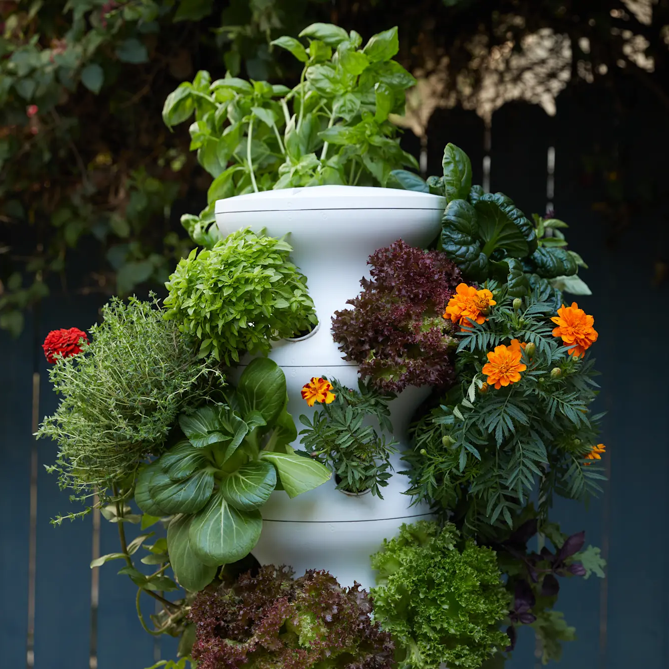 Outdoor Farmstand