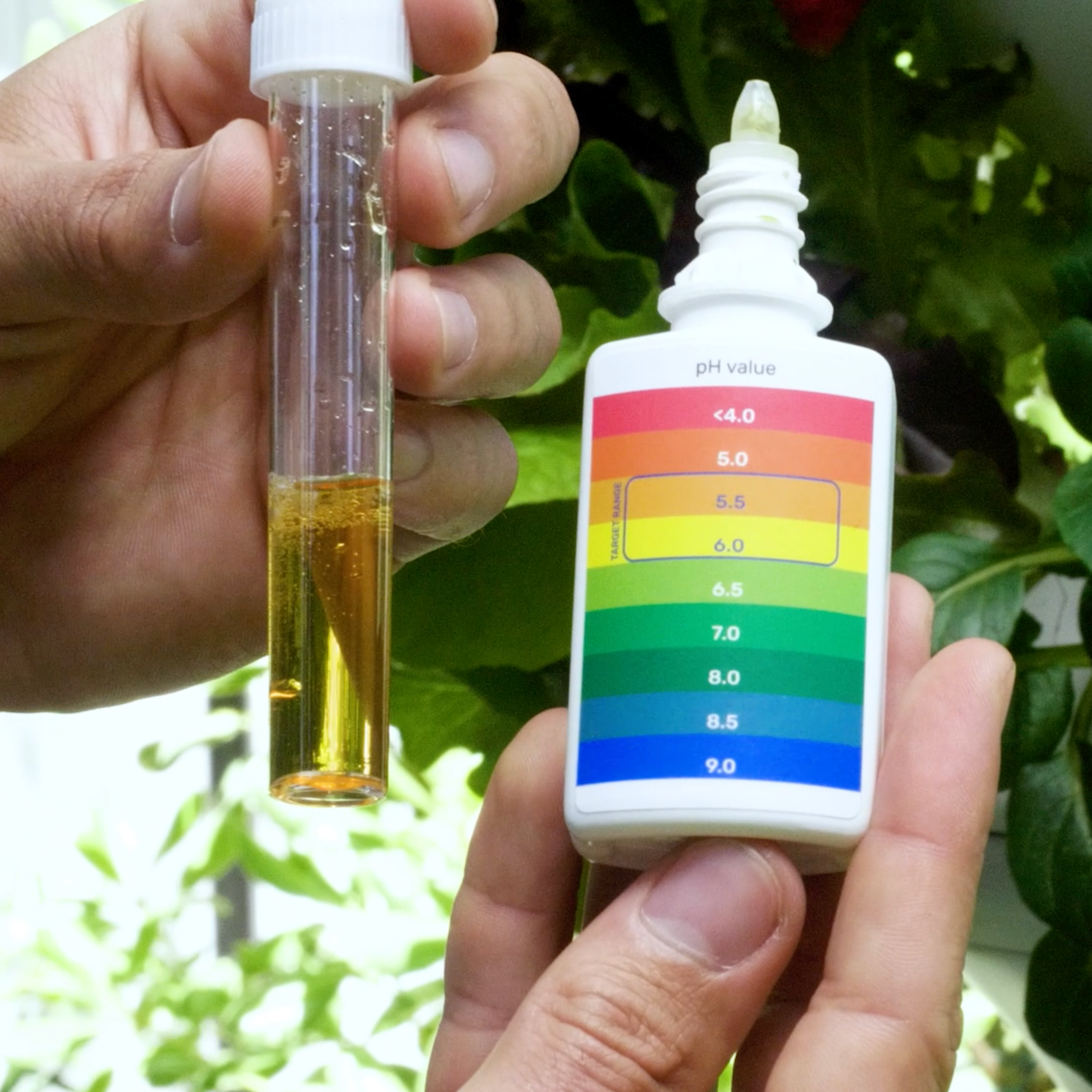 pH Test Kit