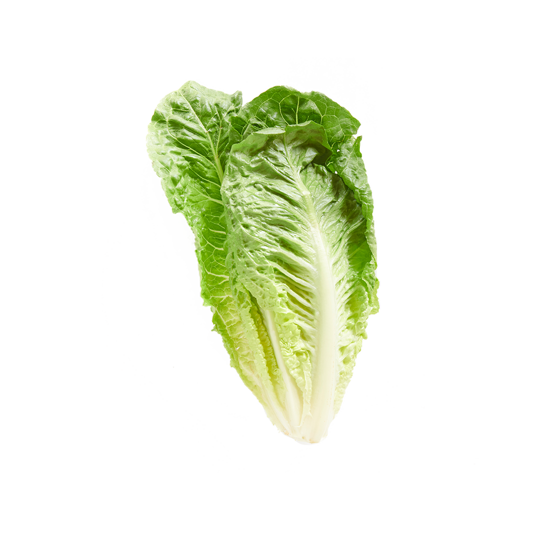 Romaine