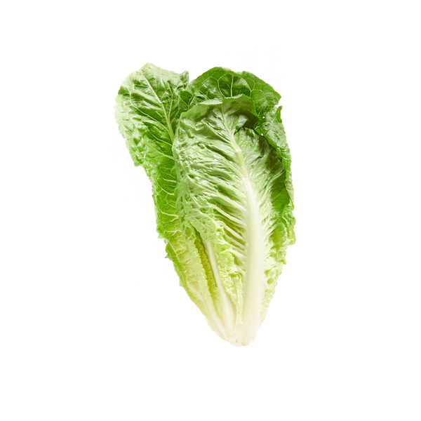 Romaine